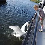 Hotelboot Zwaan